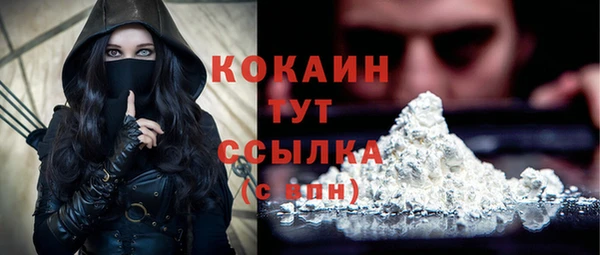 стафф Аркадак