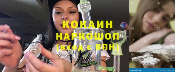 стафф Аркадак