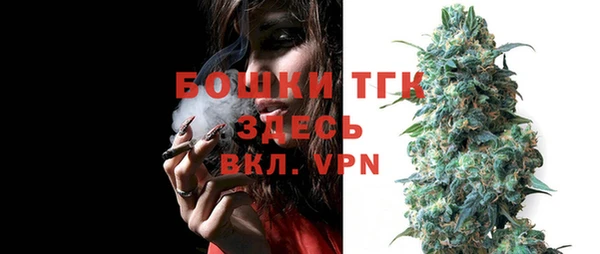 стафф Аркадак