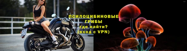 индика Армянск