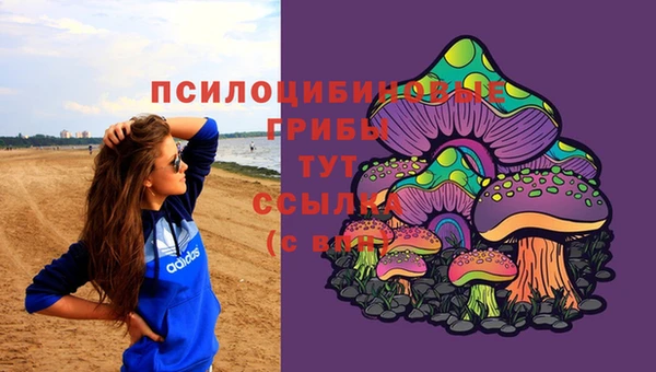индика Армянск