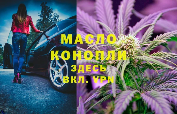 индика Армянск