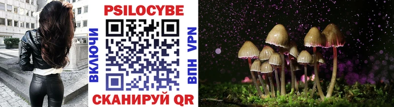 магазин продажи   Краснослободск  Псилоцибиновые грибы Psilocybe 